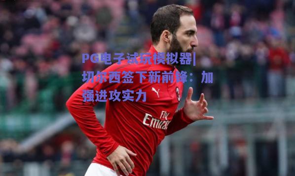 切尔西签下新前锋：加强进攻实力